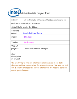 Mini-scientists project form