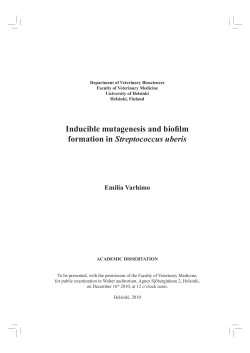 Inducible Mutagenesis and Biofilm Formation in