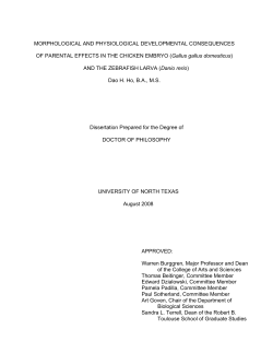 Morphological and physiological developmental consequences of