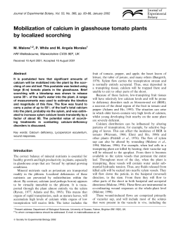Mobilization of calcium in glasshouse tomato plants by localized