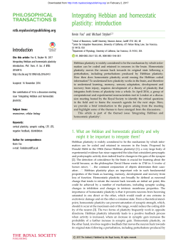 Integrating Hebbian and homeostatic plasticity