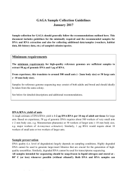 guidelines and detailed explanations