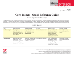 Corn Insects - Quick Reference Guide