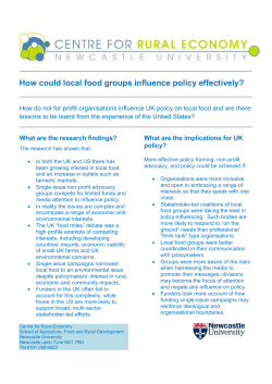 How could local food groups influence policy effectively?