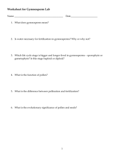 Worksheet for Gymnosperm Lab