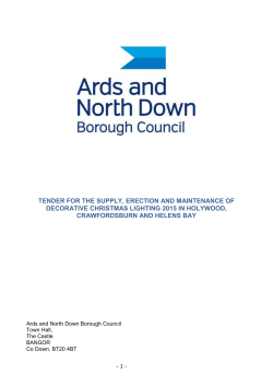 tender for the supply, erection and maintenance of decorative