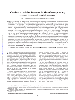Cerebral Arteriolar Structure in Mice Overexpressing