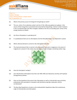 Class: 11 Subject: Biology Topic: Photosynthesis in
