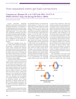 How separated sisters get bad connections