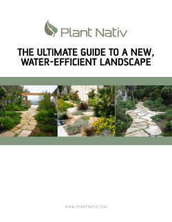 the ultimate guide to a new, water-efficient landscape