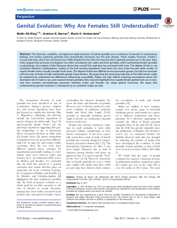 Genital Evolution: Why Are Females Still Understudied?