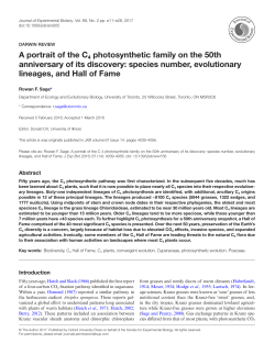 A portrait of the C4 photosynthetic family on the