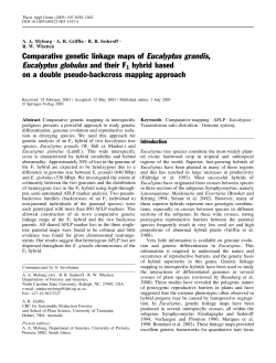 Comparative genetic linkage maps of Eucalyptus grandis