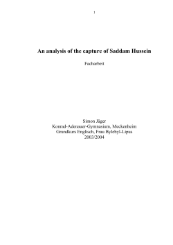 An analysis of the capture of Saddam Hussein - Konrad