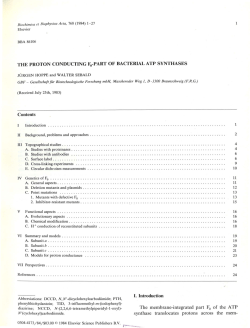 THE PROTON CONDUCTING Fo-PART OF BACTERIAL ATP