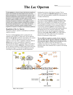 The Lac Operon
