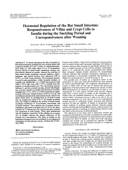 Hormonal Regulation of the Rat Small Intestine