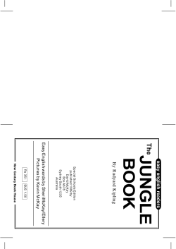 as PDF file.