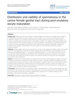 Distribution and viability of spermatozoa in the canine female genital