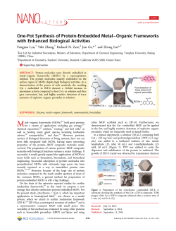 One-Pot Synthesis of Protein