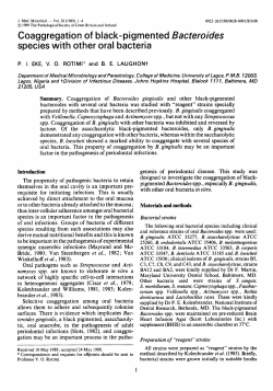 Coaggregation of black-pigmented Bacteroides species with other