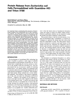 Protein Release from Escherichia coli Cells