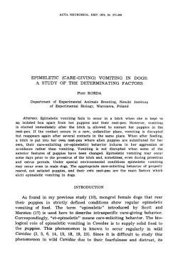 EPIMELETIC (CARE-GIVING) VOMITING IN DOGS: