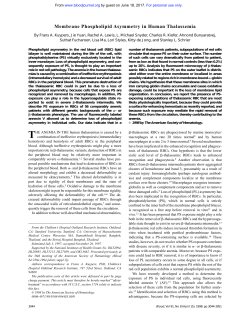 Membrane Phospholipid Asymmetry in Human