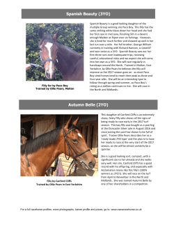 Spanish Beauty (3YO) Autumn Belle (2YO)