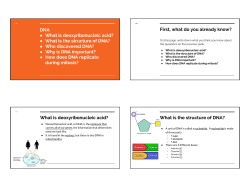 DNA What is deoxyribonucleic acid? What is the structure of DNA