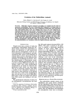 Evolution of the Multicellular Animals1