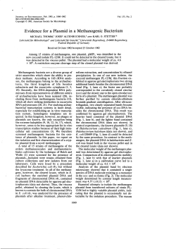 Evidence for a Plasmid in a Methanogenic Bacterium