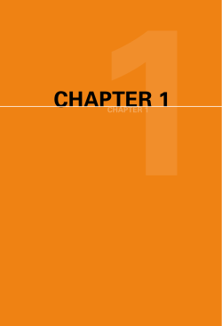 Chapter 1. External Voting
