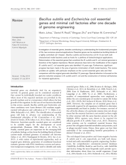 Bacillus subtilis and Escherichia coli essential genes