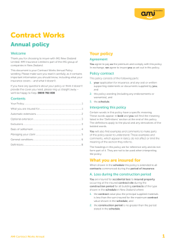 Contract Works Annual policy