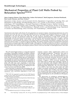 Mechanical Properties of Plant Cell Walls Probed
