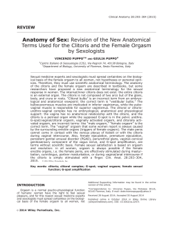 Anatomy of Sex: Revision of the New Anatomical Terms Used for the