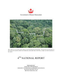 CBD Fourth National Report - Brunei Darussalam (English version)