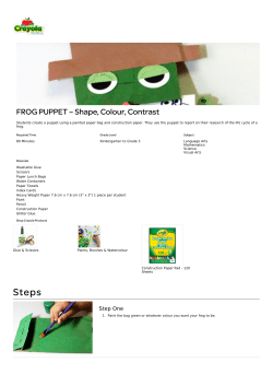 FROG PUPPET – Shape, Colour, Contrast