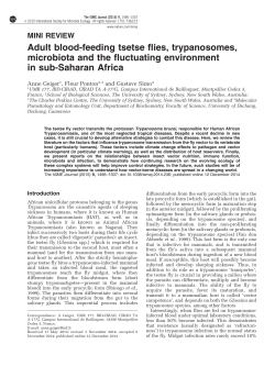 Adult blood-feeding tsetse flies, trypanosomes, microbiota