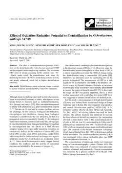Effect of Oxidation-Reduction Potential on Denitrification by