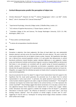 Cortical idiosyncrasies predict the perception of object size