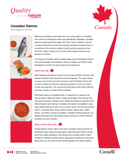 Canadian Salmon