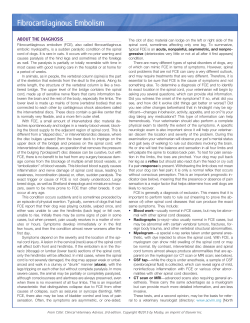 Fibrocartilaginous Embolism - House Paws In Home Veterinary Care