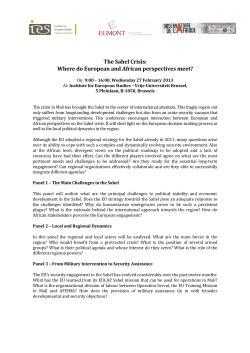 Sahel Conference Draft 220213 - The Institute for European Studies