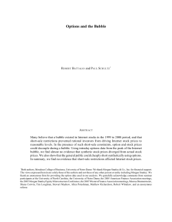 Options and the Bubble - University of Notre Dame