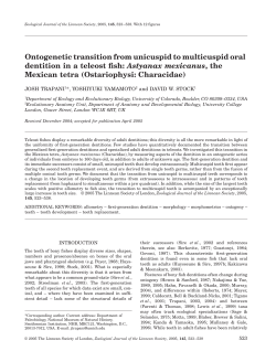 Ontogenetic transition from unicuspid to multicuspid oral dentition in