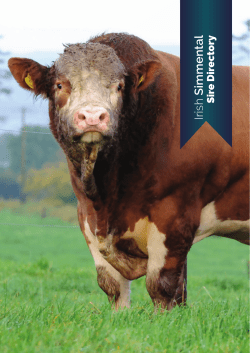 2017 Sire Directory - Irish Simmental Cattle Society