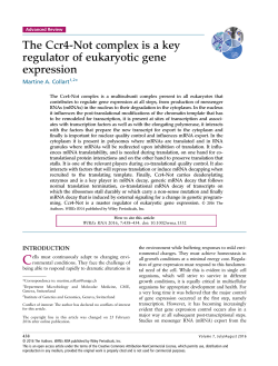 The Ccr4-Not complex is a key regulator of eukaryotic gene