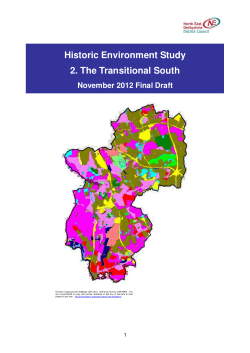 Historic Environment Study 2. The Transitional South